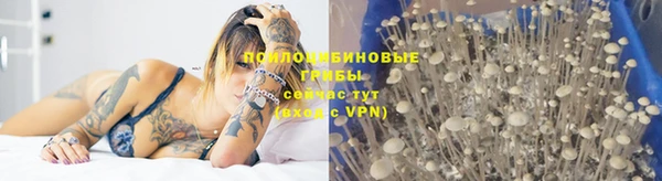 не бодяженный Абинск