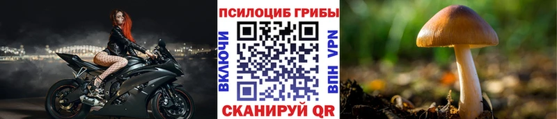 Галлюциногенные грибы мухоморы  где купить   Питкяранта 